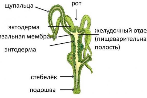 Kraken новые ссылки