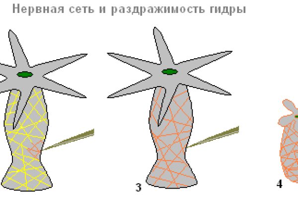 Зайти на кракен