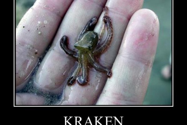 Официальная ссылка на kraken